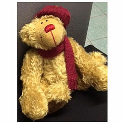 Teddy Teddy