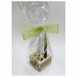 Stift-Halter-Box aus Holz Stift-Halter-Box aus Holz